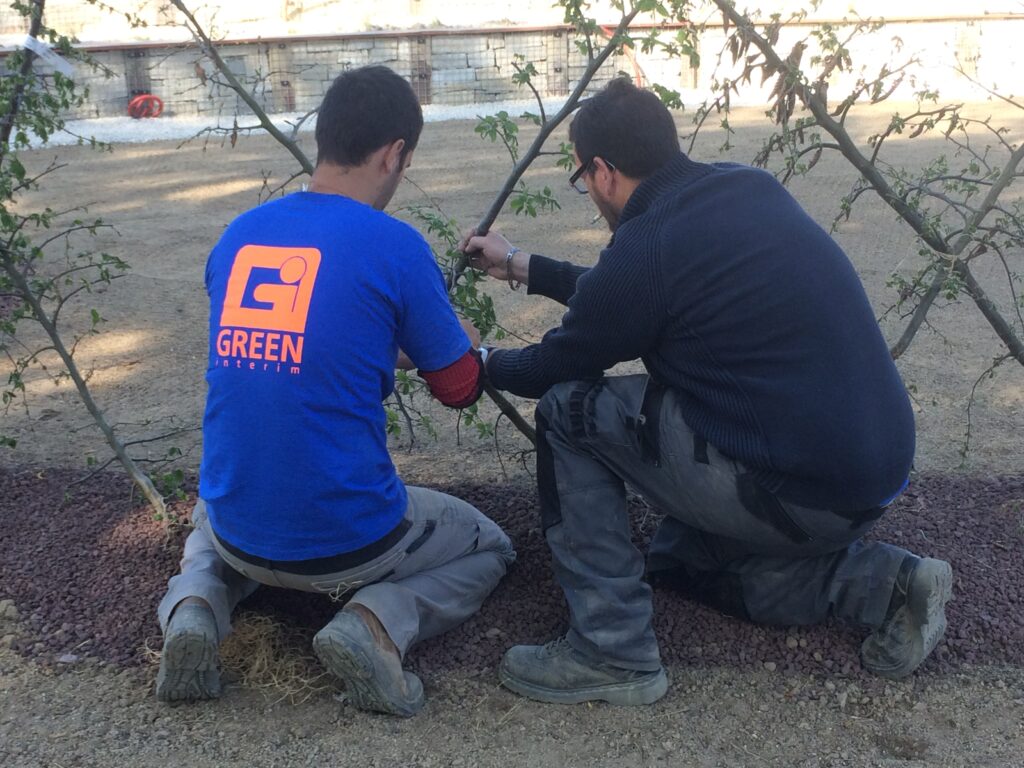 Chantier paysagisme, création